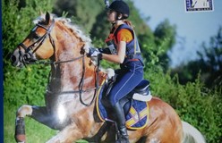 Europees kampioenen op voorpagina