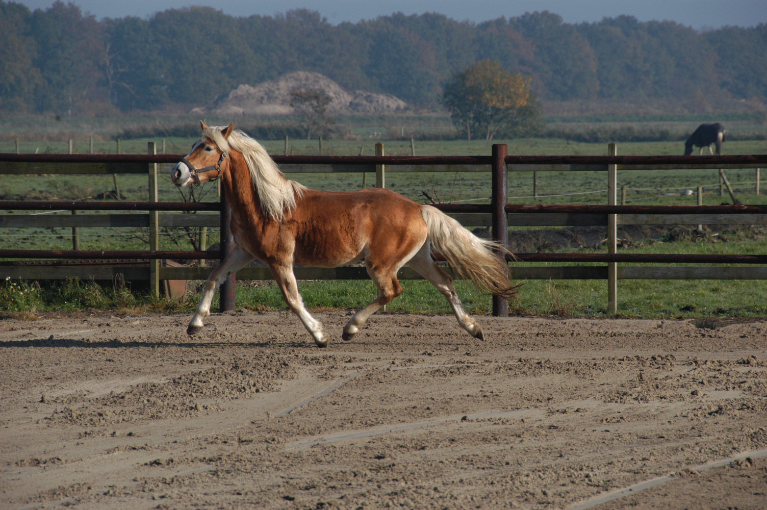 stan-V aberdeen 127.JPG