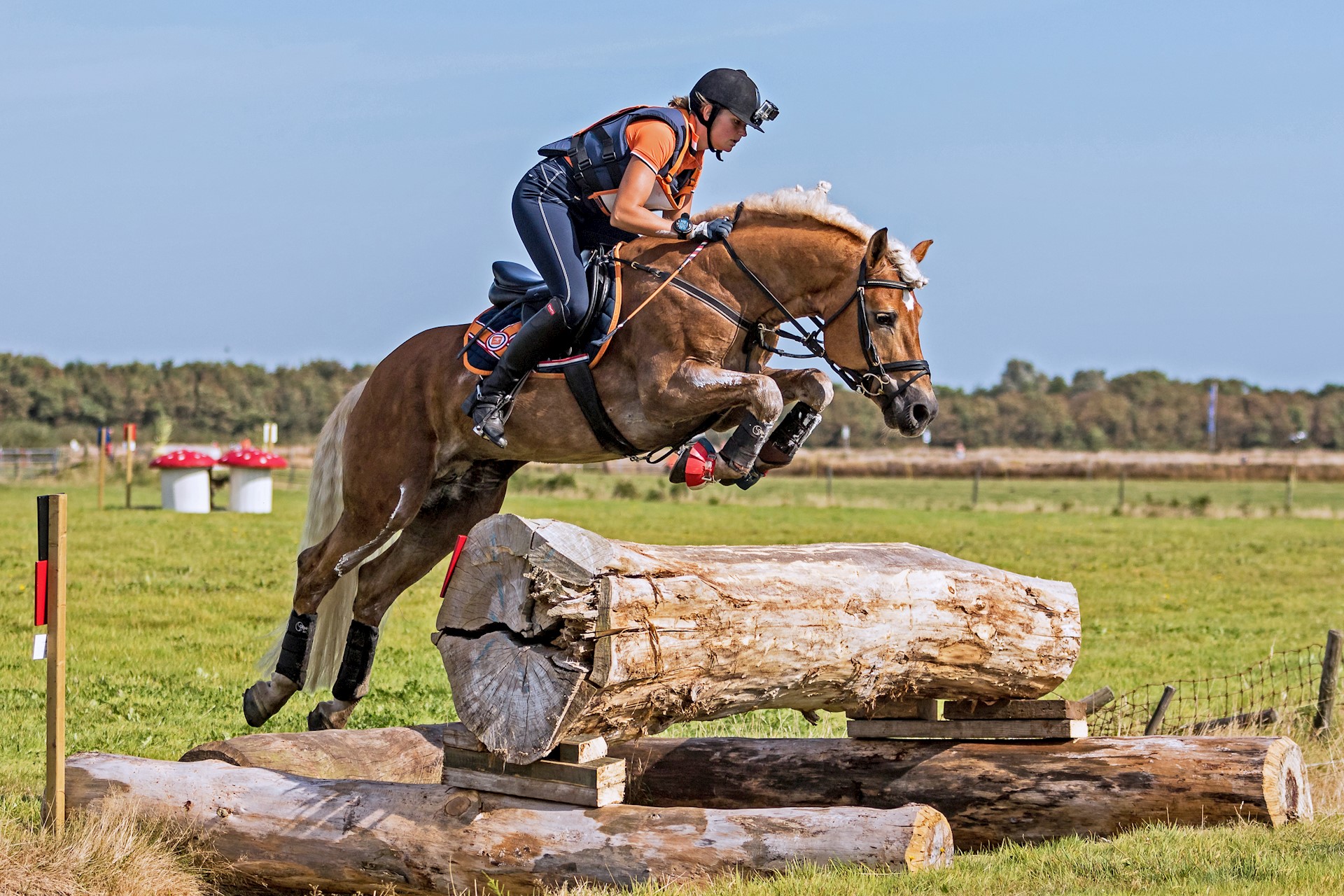 standing ovation texel.jpg